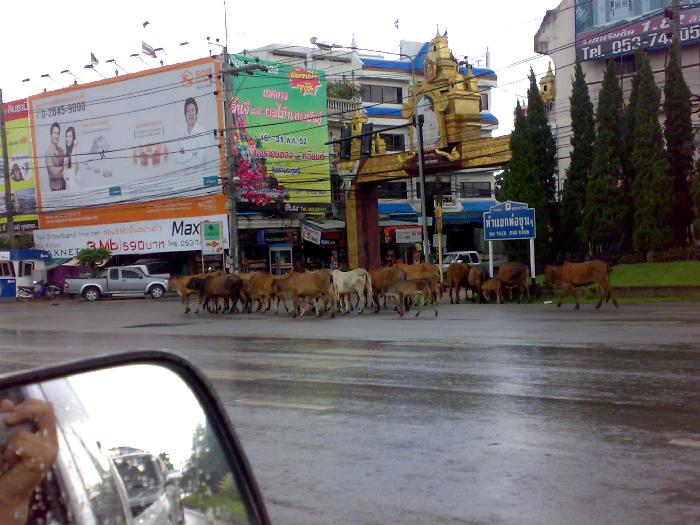 Photo by :: ���