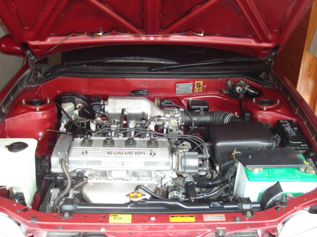 Photo by :: ยุวดี