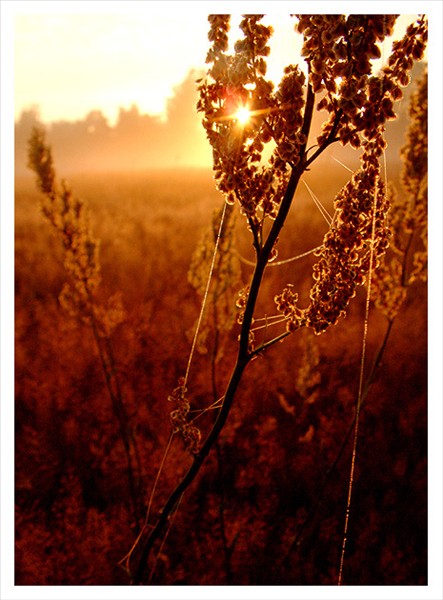 Photo by :: �й��