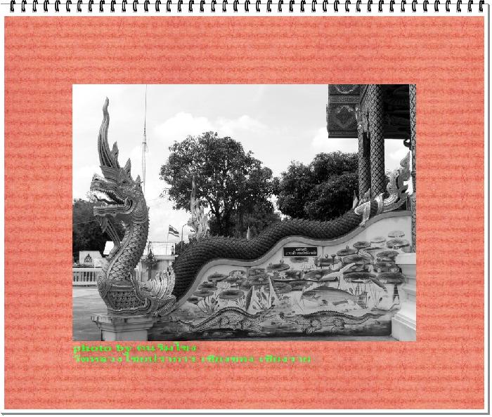 Photo by :: �����⢧