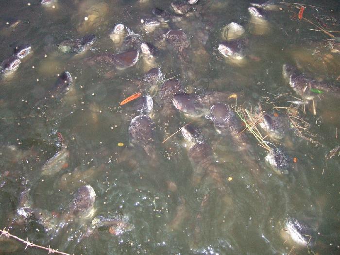 Photo by :: �.���ͧ