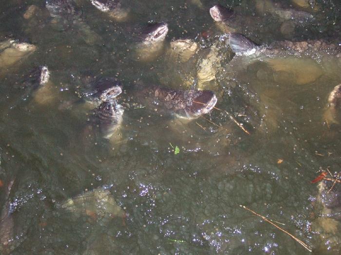 Photo by :: �.���ͧ