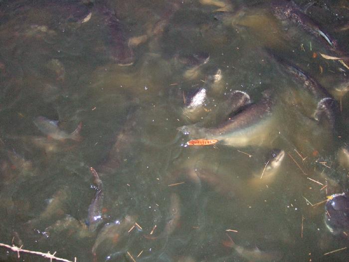 Photo by :: �.���ͧ