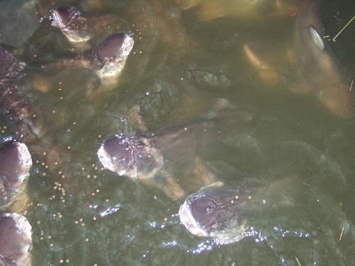 Photo by :: �.���ͧ