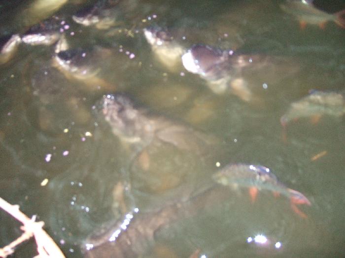 Photo by :: �.���ͧ