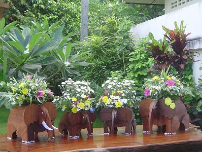 Photo by :: ����