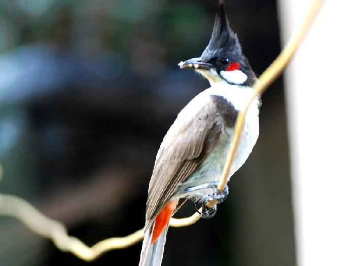 Photo by :: ลมหลวง