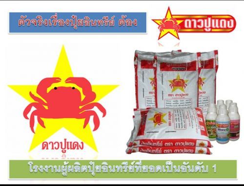 Photo by :: ตัวจริง