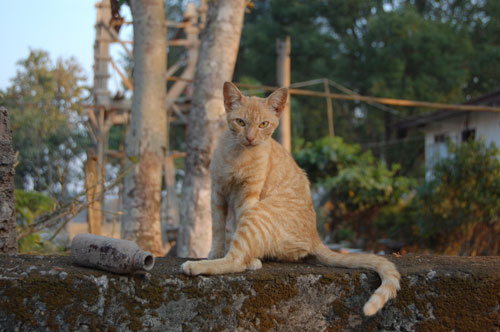 Photo by :: ����