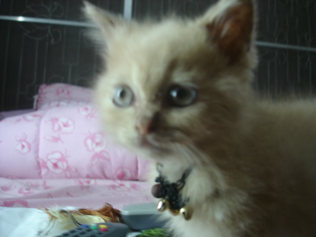 Photo by :: �����