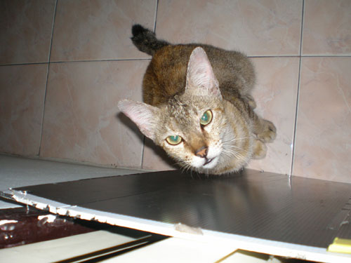 Photo by :: ����ԧ�����ͧ