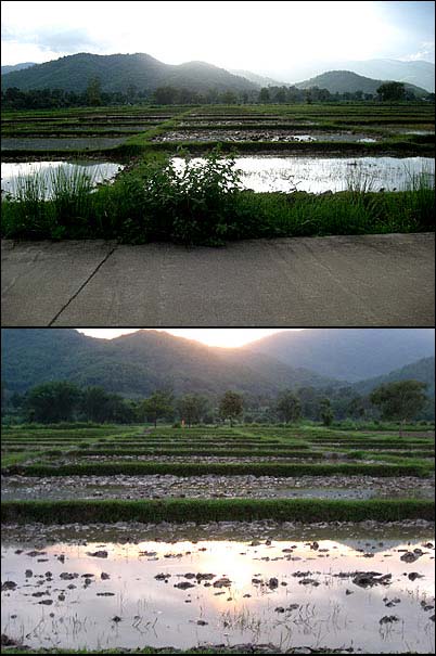 Photo by :: ���ѳ��