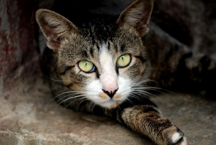 Photo by :: ����ǧ