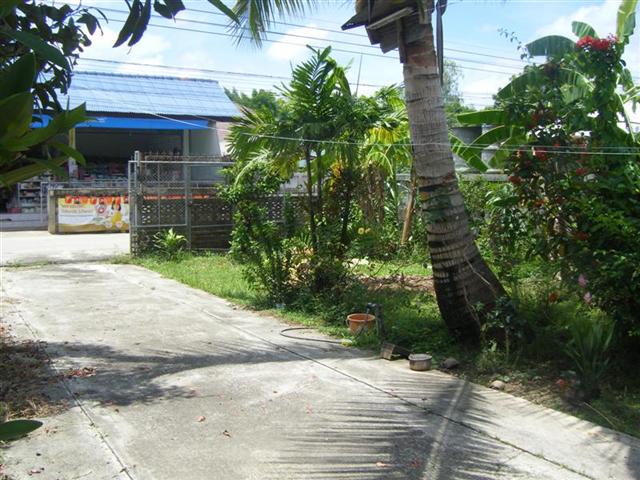 Photo by :: ��ҡ���