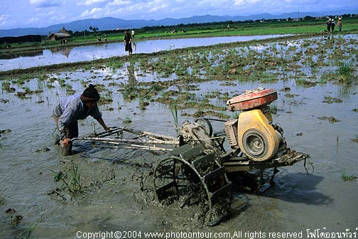 Photo by :: ��§��¾ѹ�����