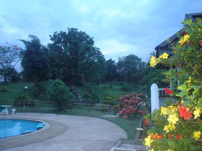 Photo by :: �تҵ�