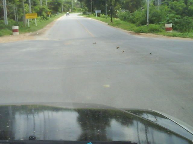 Photo by :: �Թ�ѧ