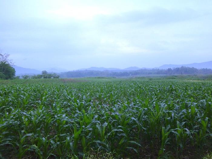 Photo by :: �����⢧