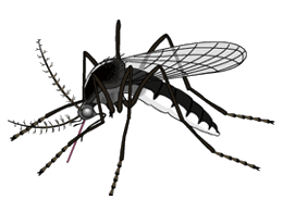 Photo by :: ��§���⿡��