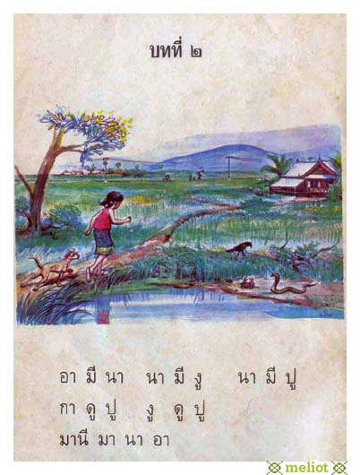 Photo by :: webmaster