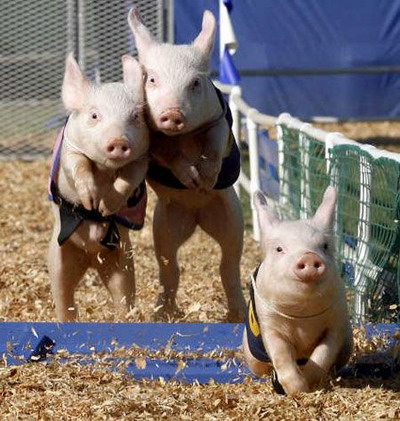 Photo by :: วันนา