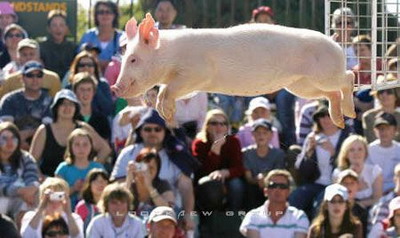 Photo by :: วันนา