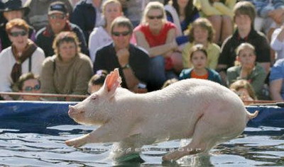 Photo by :: วันนา