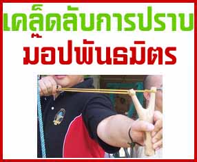 Photo by :: อาทิตย์