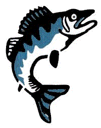 Photo by :: �è��