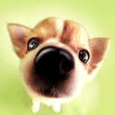 Photo by :: อร..SCNYL