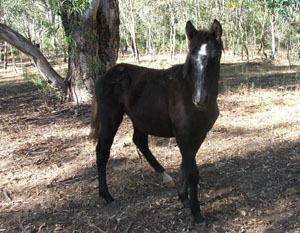 Photo by :: �ѹ��