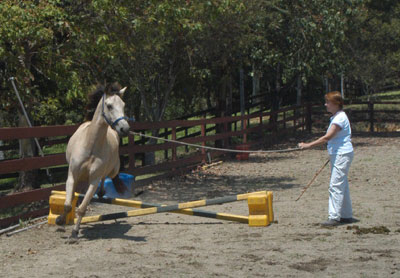 Photo by :: �ѹ��