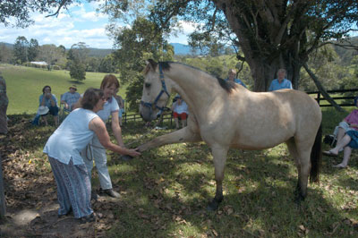 Photo by :: �ѹ��