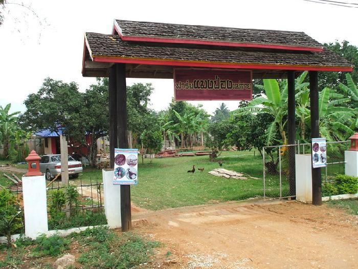 Photo by :: ����������ͧ������ 