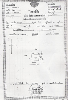 Photo by :: สิงห์