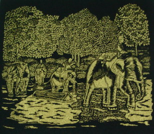 Photo by :: ���