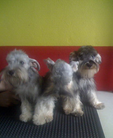 Photo by :: ��óҿ����