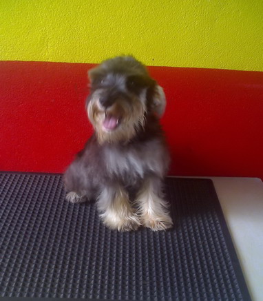 Photo by :: ��óҿ����