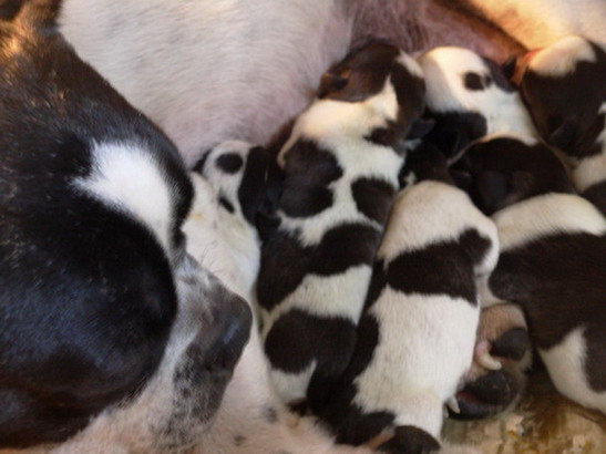 Photo by :: ��óҿ����