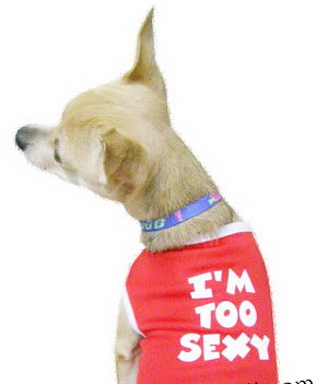 Photo by :: ��óҿ����