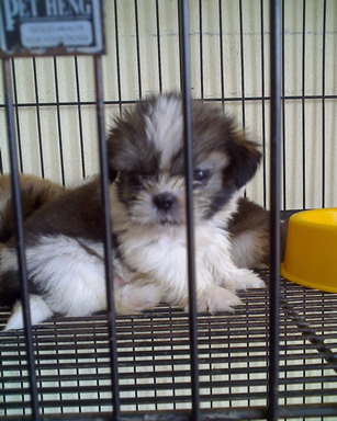 Photo by :: ��óҿ����