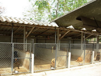 Photo by :: ��óҿ����