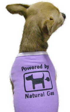 Photo by :: ��óҿ����