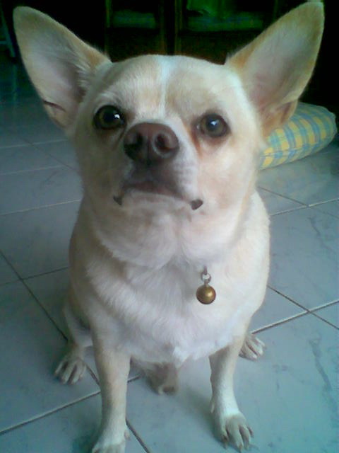 Photo by :: �ѡ���