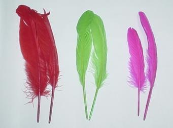 Photo by :: ��ҹΌ�ҫ�