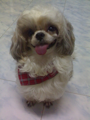 Photo by :: ประกิต