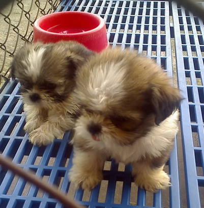 Photo by :: วรรณาฟาร์ม