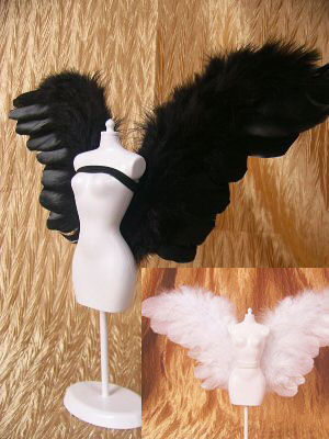 Photo by :: ร้านแฟนตาซี