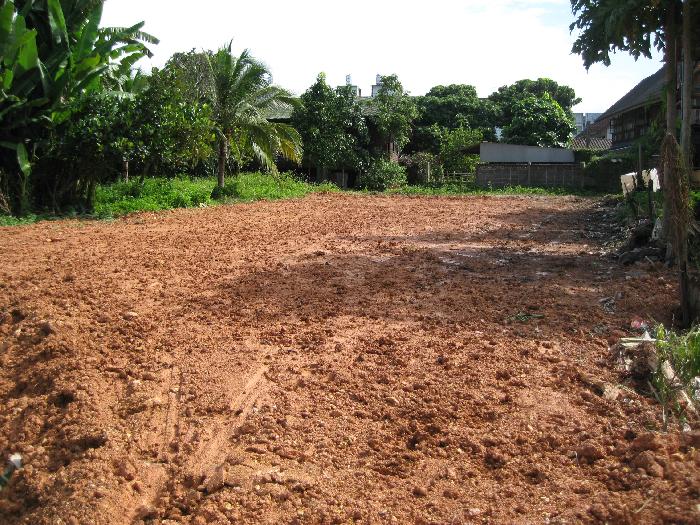 Photo by :: วิค