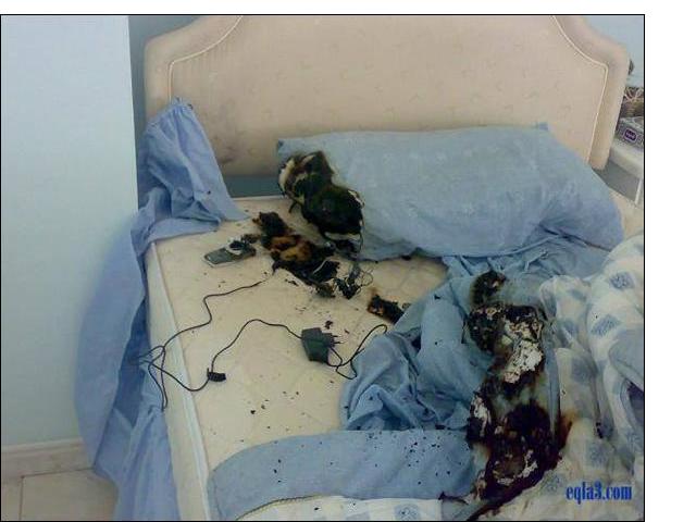 Photo by :: ��ҡ������ 